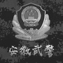 安徽武警ico