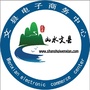 文县电子商务中心ico
