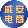 咸安电商ico