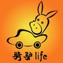 骑驴lifeico