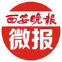 晚报微报ico