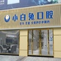 东莞长安小白兔口腔门诊部ico