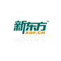 新东方英语秀ico