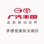 广汽丰田孝感爱康仙女湖店ico