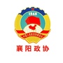 襄阳政协ico