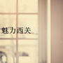魅力西关ico