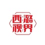 西潞视界ico
