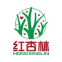 红杏林学院ico