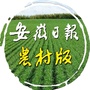 安徽日报农村版ico
