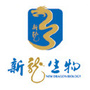 新龙ico