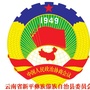 新平县政协ico