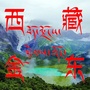 西藏金东ico