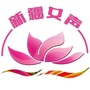 新疆女声公众号ico
