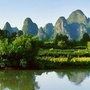 厦门青草药ico