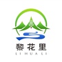 寻梦黎花里公众号ico