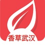 香草招聘武汉ico