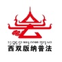 西双版纳普法ico