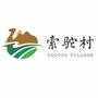 新时代新索驼ico