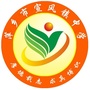 宣风镇中学公众号ico