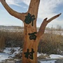 黄花滩镇新西村ico