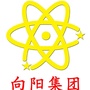 向阳电子集团ico