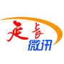 延长微讯ico