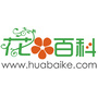 养花大全ico