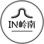 IN岭南ico
