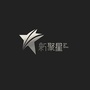 新聚星ico