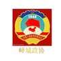 峄城政协ico