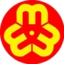 营口巾帼风采ico