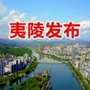 夷陵发布ico
