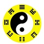 华阳易道ico