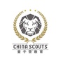 云南童子营教育科技发展有限公司ico