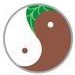 养身健康日志ico