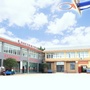 青白江区秧田村青年ico