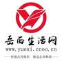 岳西生活网ico