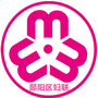 郧阳巾帼ico