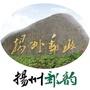 扬州邮韵ico