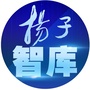 扬子智库ico