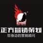 正方策划ico