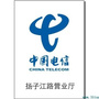 中国电信乌鲁木齐扬子江营业厅ico