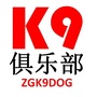 K9俱乐部ico