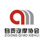 自贡市汽车摩托车协会ico