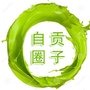 自贡圈子ico