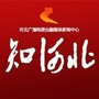 知河北ico
