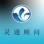 舟山小灵通ico