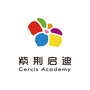 紫荆启迪ico