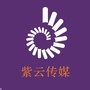 紫云万象ico