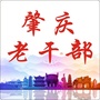 肇庆老干部ico